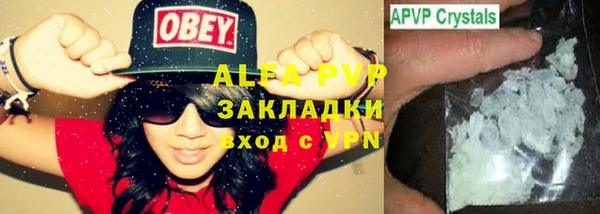 хмурый Алзамай